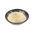 Wholesales Food Supplement Lactobacillus fermentum